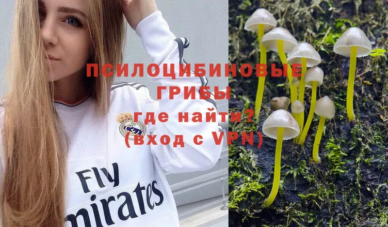 MEGA ONION  Белово  Галлюциногенные грибы MAGIC MUSHROOMS  наркота 